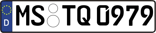 MS-TQ0979