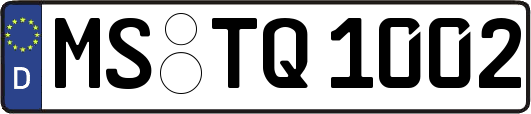 MS-TQ1002