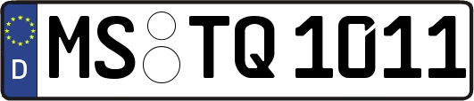 MS-TQ1011