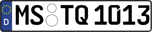 MS-TQ1013