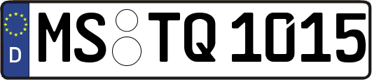 MS-TQ1015