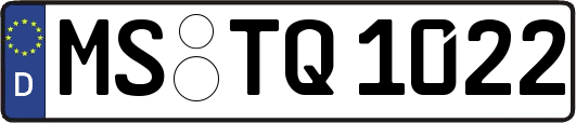 MS-TQ1022