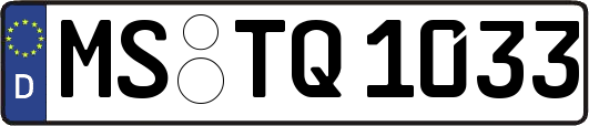MS-TQ1033
