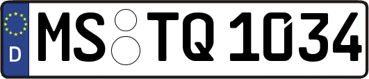 MS-TQ1034
