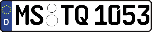 MS-TQ1053