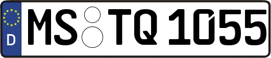 MS-TQ1055