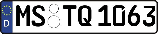 MS-TQ1063