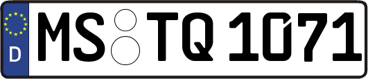 MS-TQ1071
