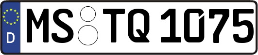 MS-TQ1075