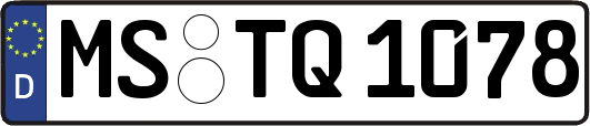 MS-TQ1078