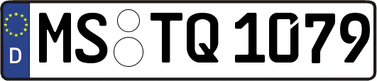 MS-TQ1079