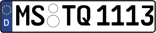 MS-TQ1113