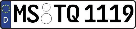 MS-TQ1119