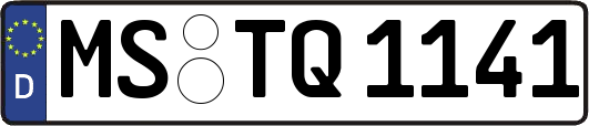 MS-TQ1141
