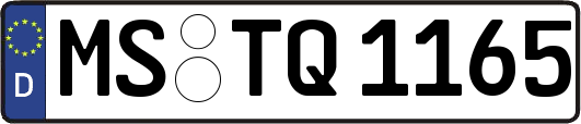 MS-TQ1165