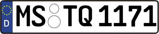 MS-TQ1171