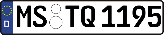 MS-TQ1195