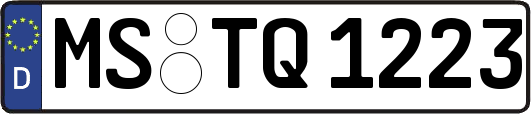 MS-TQ1223
