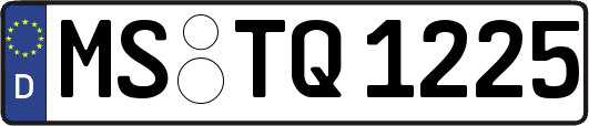 MS-TQ1225