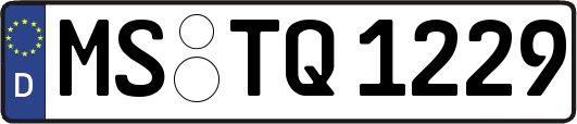 MS-TQ1229
