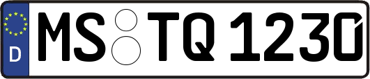 MS-TQ1230
