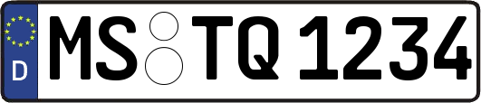 MS-TQ1234