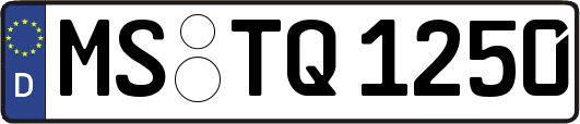 MS-TQ1250