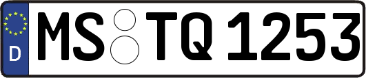 MS-TQ1253