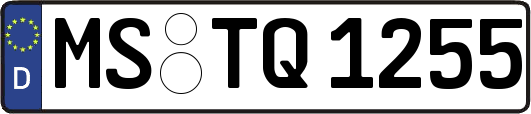 MS-TQ1255