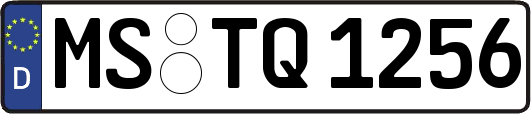 MS-TQ1256