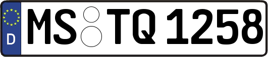 MS-TQ1258