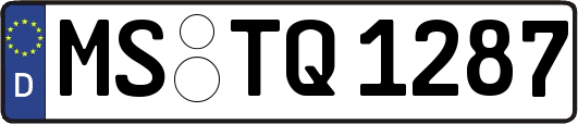 MS-TQ1287