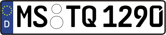 MS-TQ1290
