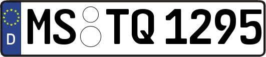 MS-TQ1295
