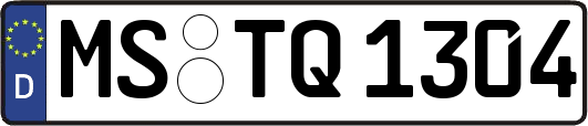 MS-TQ1304