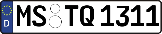MS-TQ1311