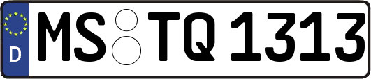 MS-TQ1313