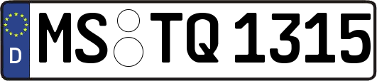 MS-TQ1315