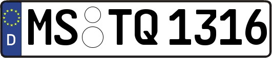 MS-TQ1316