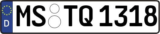 MS-TQ1318