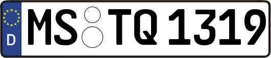 MS-TQ1319
