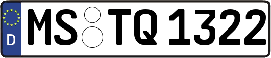 MS-TQ1322