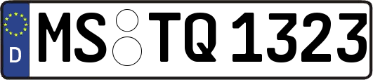 MS-TQ1323