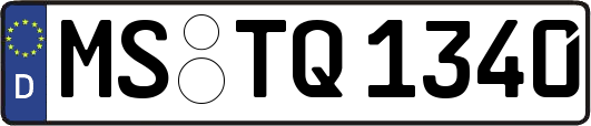 MS-TQ1340