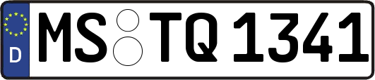 MS-TQ1341