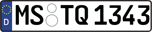 MS-TQ1343