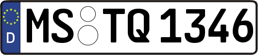MS-TQ1346