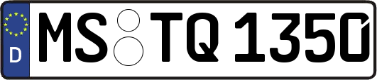 MS-TQ1350