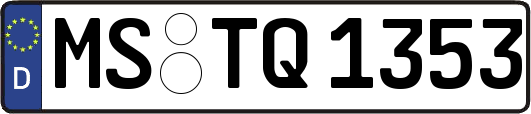 MS-TQ1353