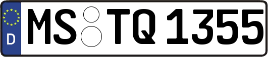 MS-TQ1355